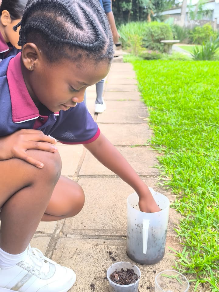 Westville Junior Primary