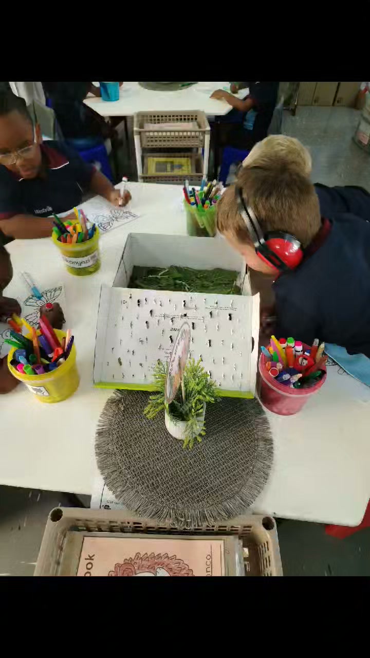 Westville Junior Primary